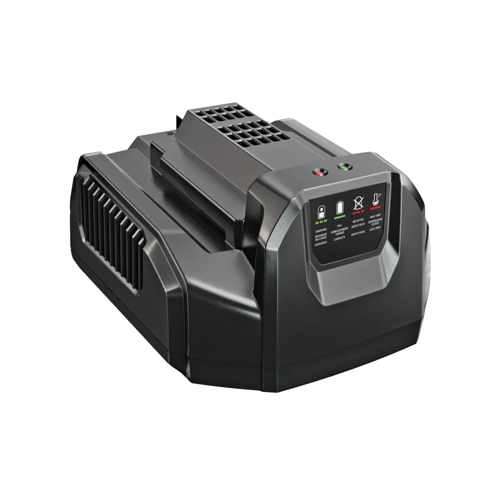 EGO CH2100E Ladegerät 210W