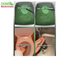 Denny BioAnimals®Tofu (Soja) Katzenstreu 30 kg (10 Säcke je 3 kg), 80 L – natürlich & biologisch abbaubar – saugstark, klumpend, staubfrei & geruchsneutral – nachhaltige Katzenstreu aus Pflanzenfasern.
