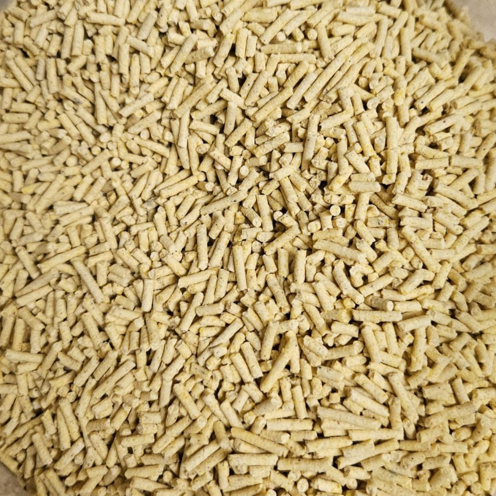 Denny BioAnimals® Maisstreu Katzenstreu 9 kg (3x3 kg) – 100 % natürlich & biologisch abbaubar – klumpend, staubfrei & geruchsneutral – nachhaltige Katzenstreu aus Maisfasern.