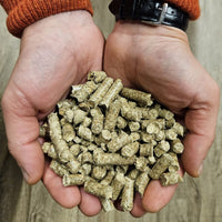 Miscanthus Pellets Einstreu 8 mm – 15 kg Sack | 100% Naturprodukt | Staubarme Pferde- & Tierstreu | Hohe Saugkraft & Geruchsbindung | Umweltfreundliche Alternative zu Sägespänen