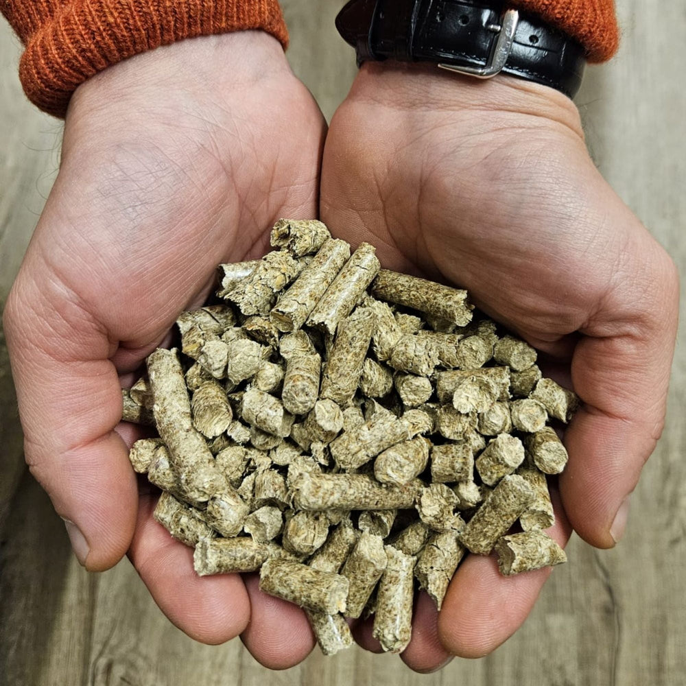 Miscanthus Pellets Einstreu 8 mm 1 Palette 945 kg, 63 Säcke je 15 kg - | 100% Naturprodukt | Staubarme Pferde- & Tierstreu | Hohe Saugkraft & Geruchsbindung | Umweltfreundliche Alternative zu Sägespänen